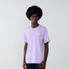null : PAARS/WIT