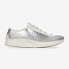 null : ZILVER