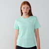 null : GROEN/WIT