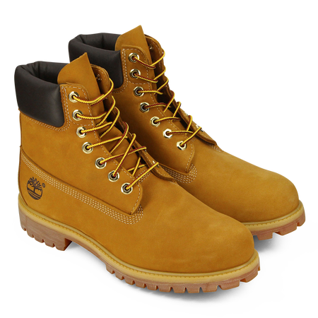 TIMBERLAND 6 inch 6 INCH BOOT MIEL HONING HEREN
