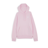 null : ROZE