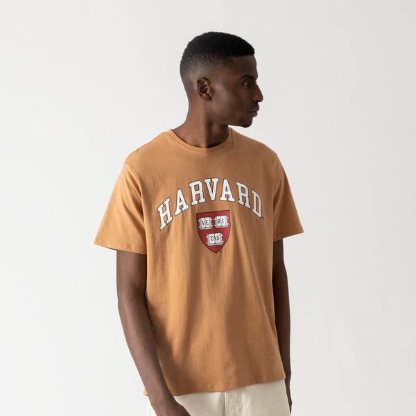 TEE SHIRT HARVARD