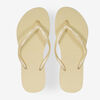 null : GEEL