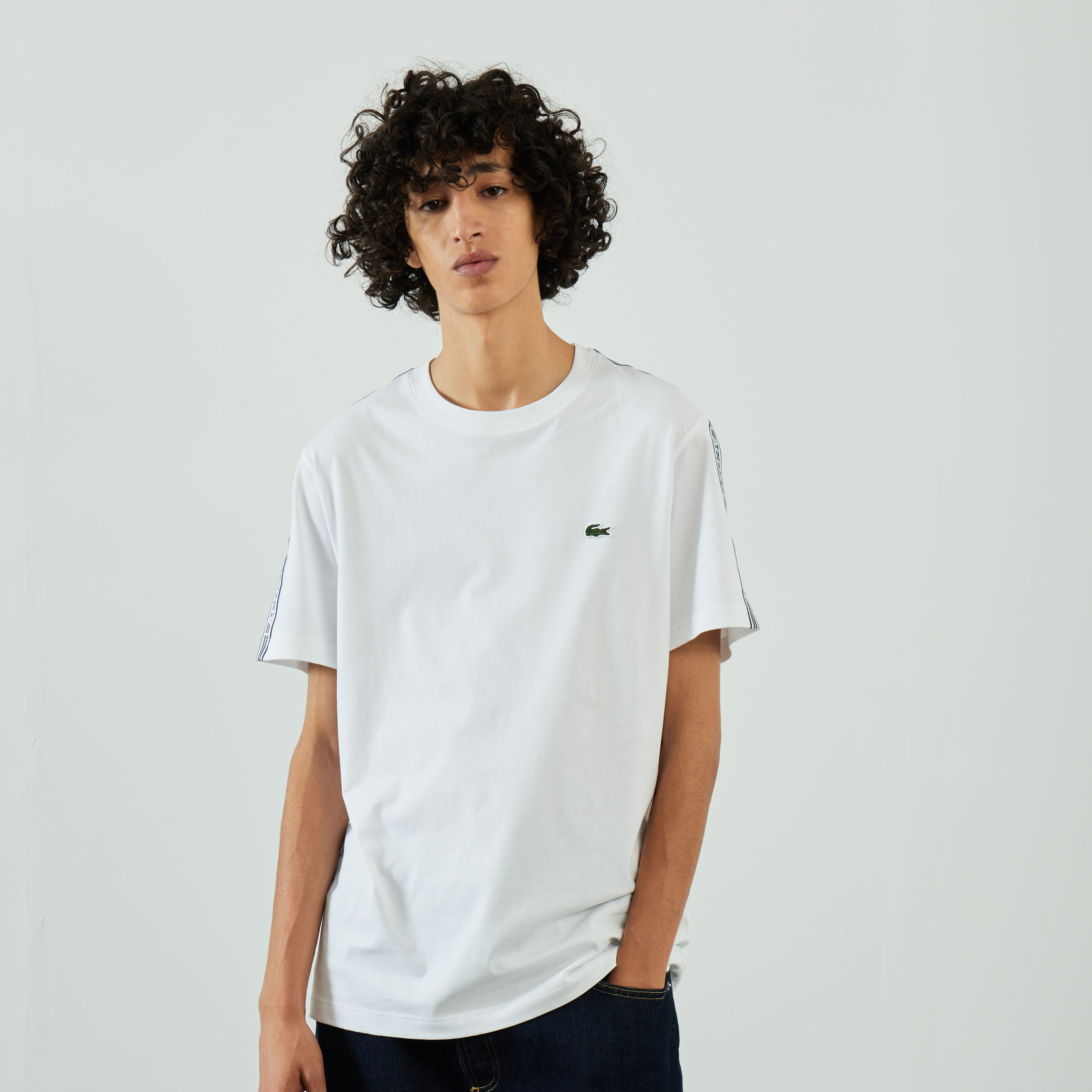 Lacoste turtle new arrivals