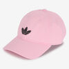 null : ROZE