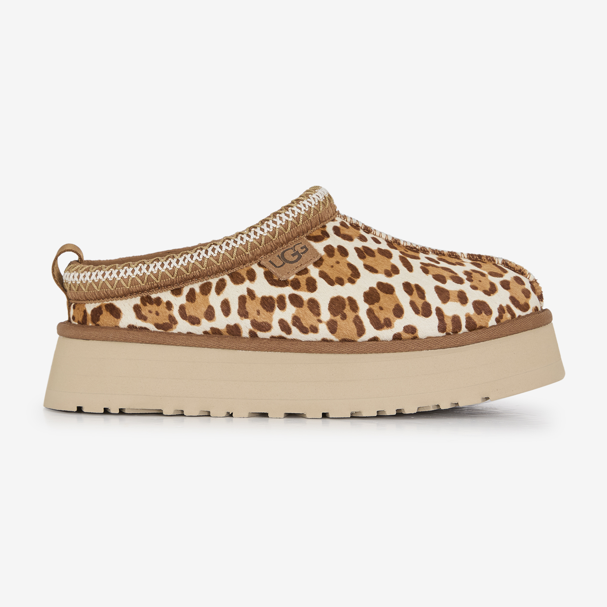 TAZZ II CHEETAH
